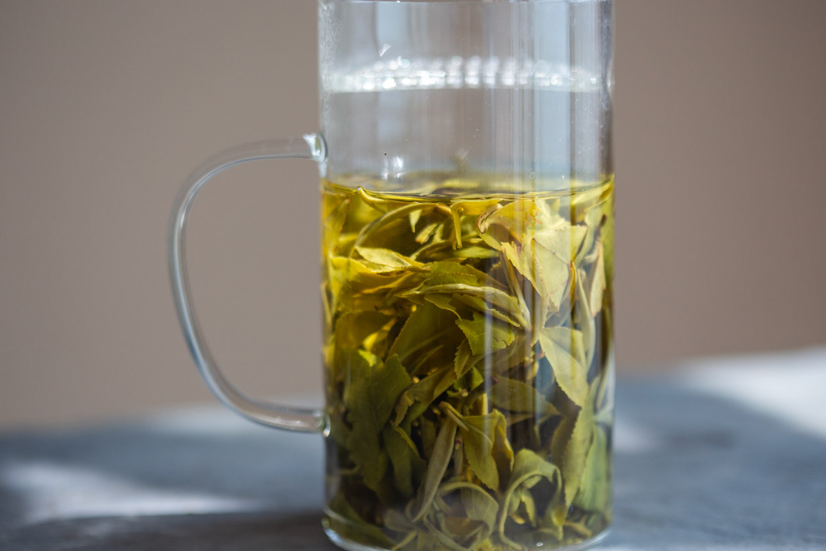 hulk 2025 simao green tea 3 | BITTERLEAF TEAS